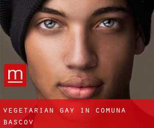 Vegetarian Gay in Comuna Başcov