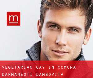 Vegetarian Gay in Comuna Dărmăneşti (Dâmboviţa)