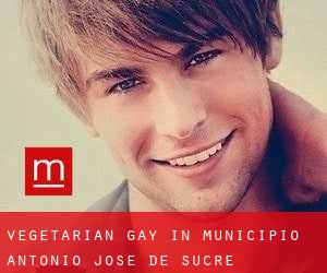 Vegetarian Gay in Municipio Antonio José de Sucre