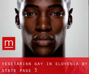 Vegetarian Gay in Slovenia by State - page 3