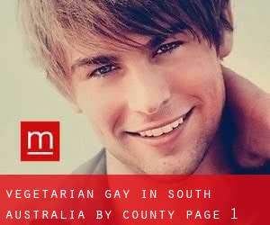 Vegetarian Gay in South Australia by County - page 1
